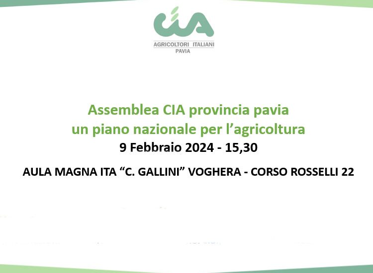 Assemblea Cia